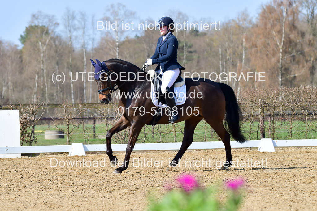 Reitsportzentrum Bremervörde | 10421 Dressur L Tr_324