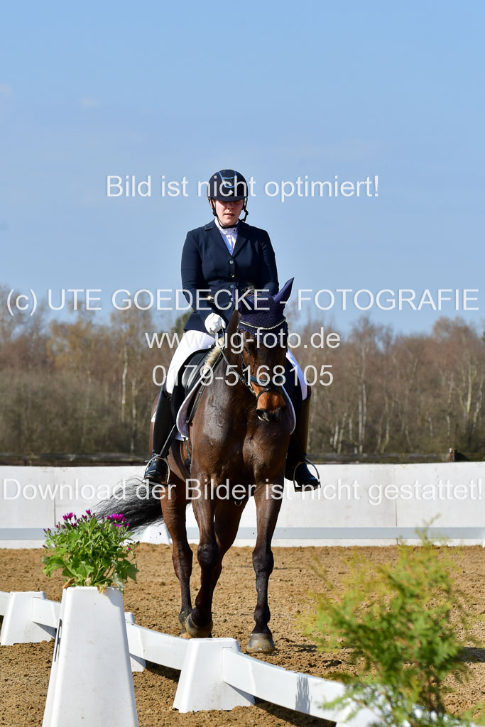 Reitsportzentrum Bremervörde | 10421 Dressur L Tr_325