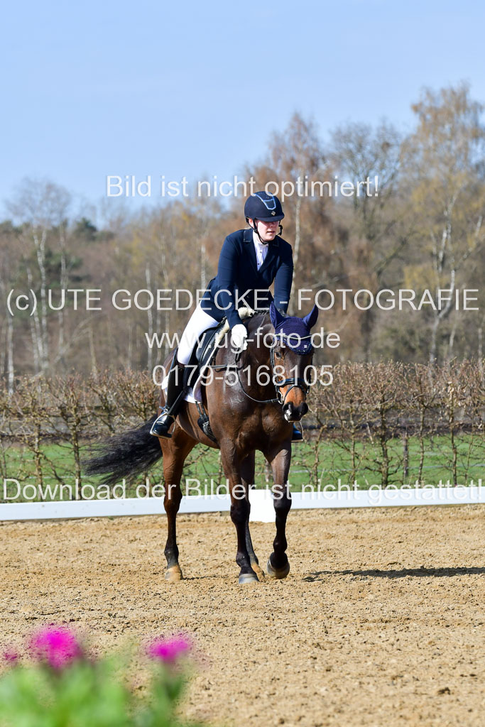 Reitsportzentrum Bremervörde | 10421 Dressur L Tr_329