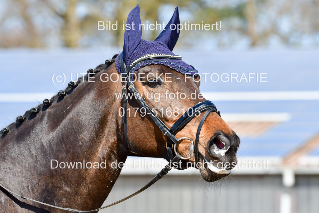 Reitsportzentrum Bremervörde | 10421 Dressur L Tr_330 