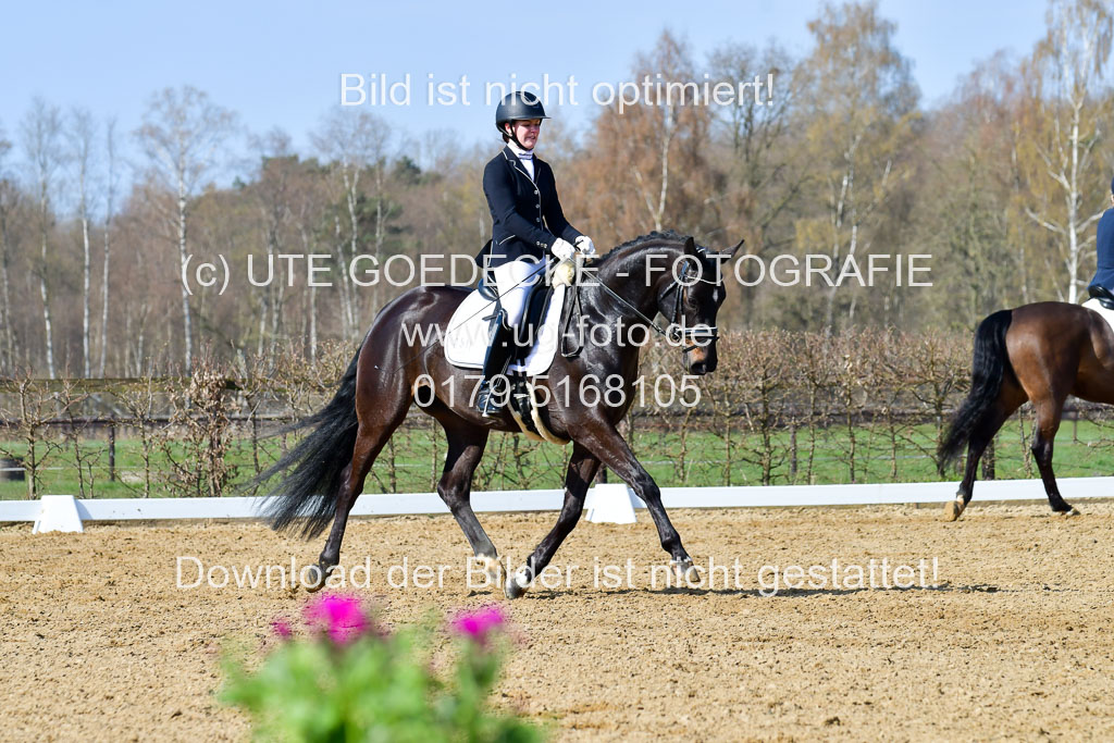 Reitsportzentrum Bremervörde | 10421 Dressur L Tr_332 