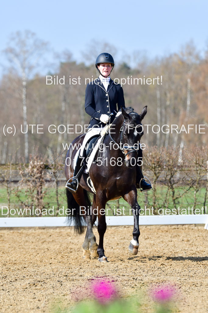 Reitsportzentrum Bremervörde | 10421 Dressur L Tr_333