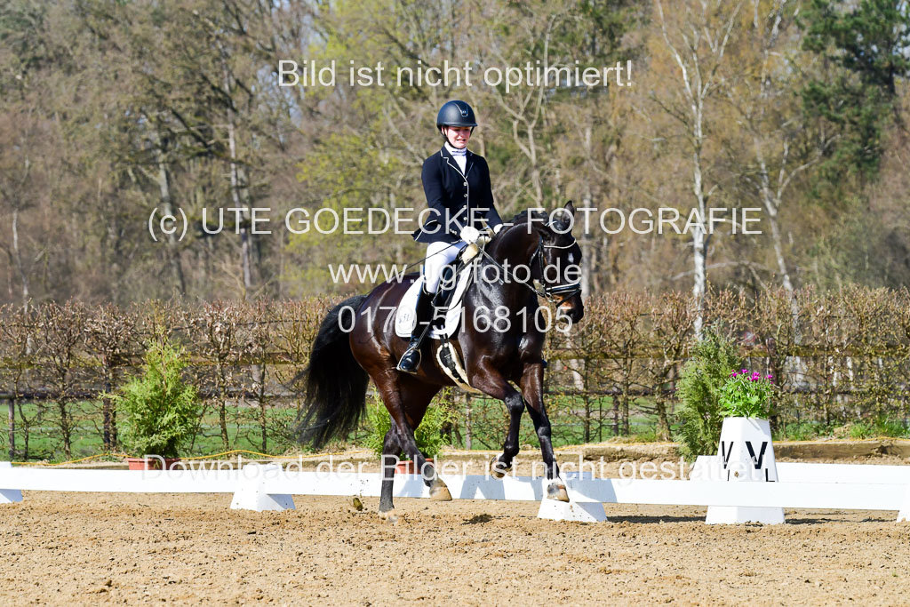 Reitsportzentrum Bremervörde | 10421 Dressur L Tr_338