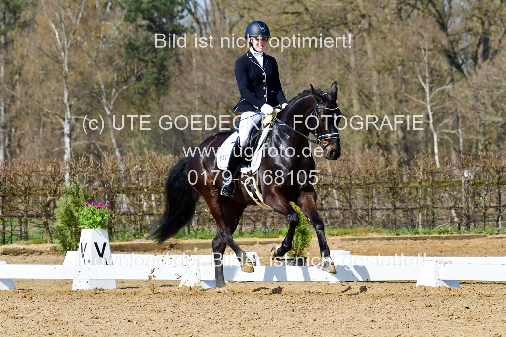 Reitsportzentrum Bremervörde | 10421 Dressur L Tr_339 