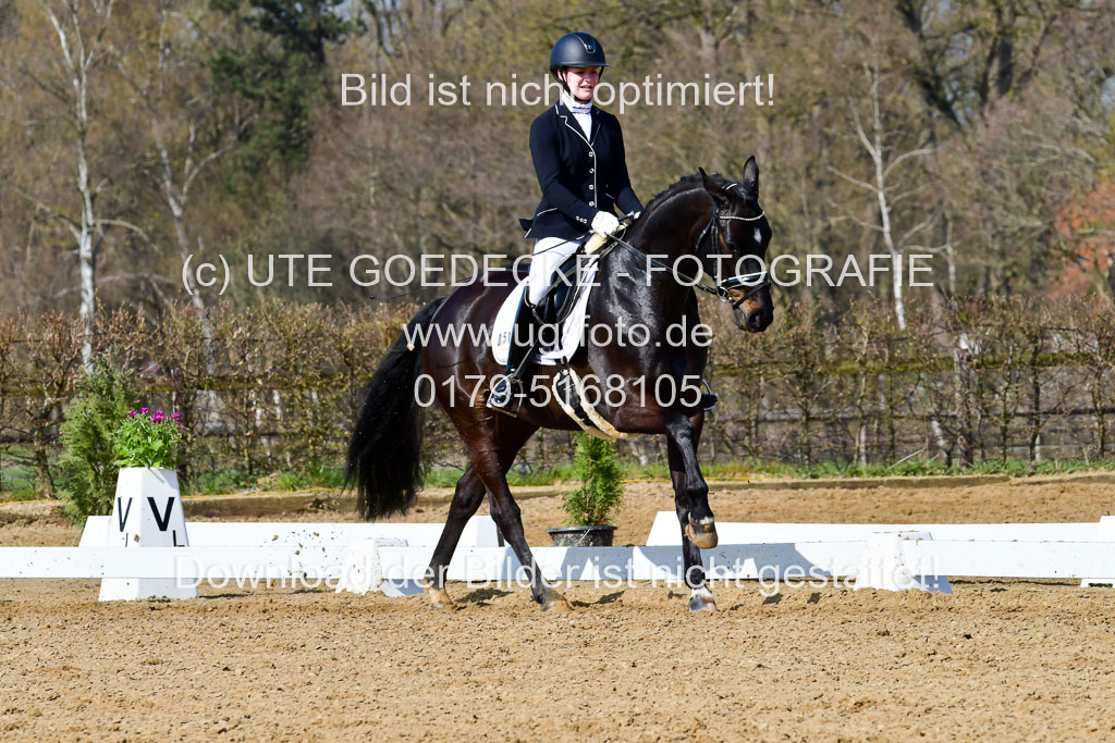 Reitsportzentrum Bremervörde | 10421 Dressur L Tr_340 