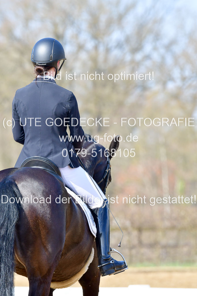 Reitsportzentrum Bremervörde | 10421 Dressur L Tr_343