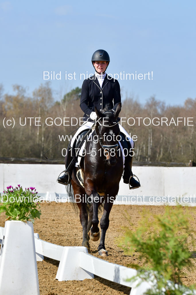 Reitsportzentrum Bremervörde | 10421 Dressur L Tr_346