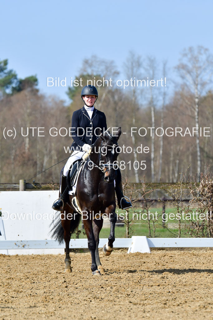 Reitsportzentrum Bremervörde | 10421 Dressur L Tr_349 