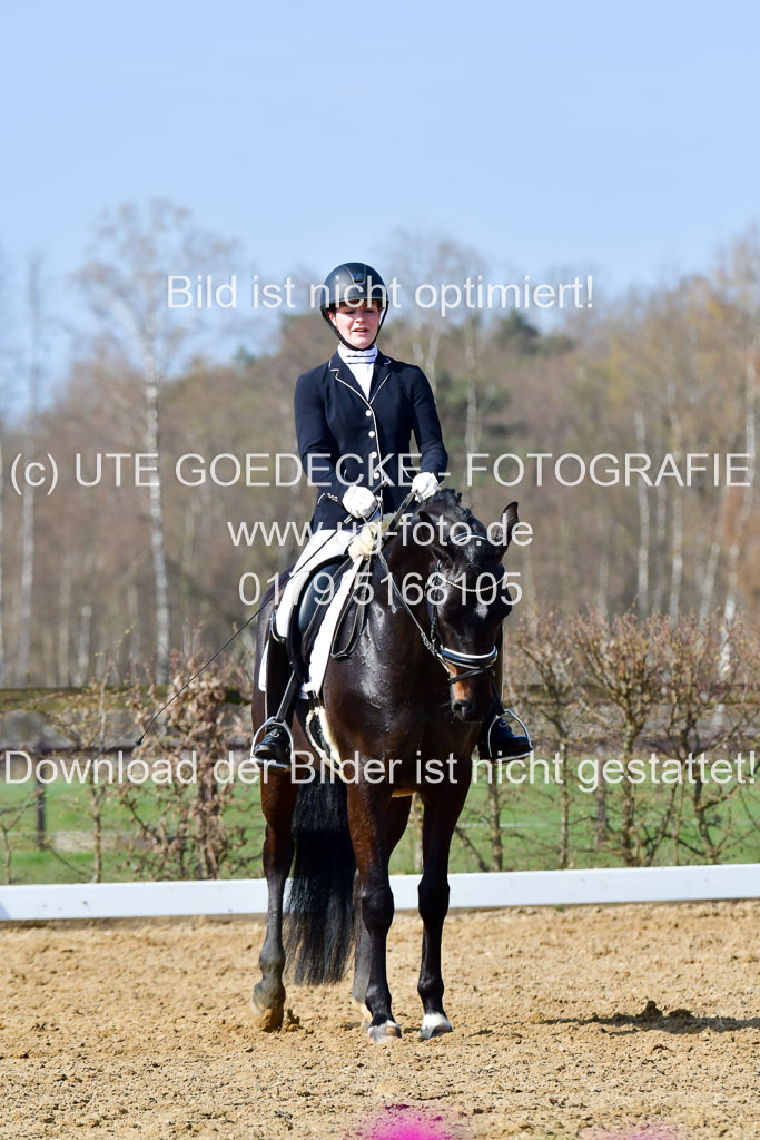Reitsportzentrum Bremervörde | 10421 Dressur L Tr_350