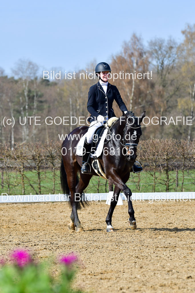 Reitsportzentrum Bremervörde | 10421 Dressur L Tr_351