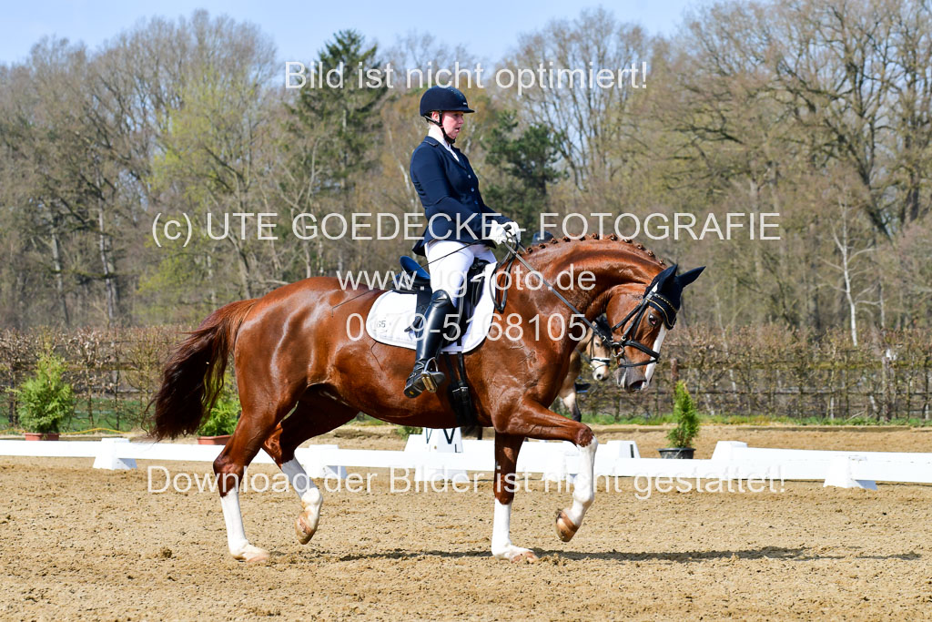 Reitsportzentrum Bremervörde | 10421 Dressur L Tr_356 