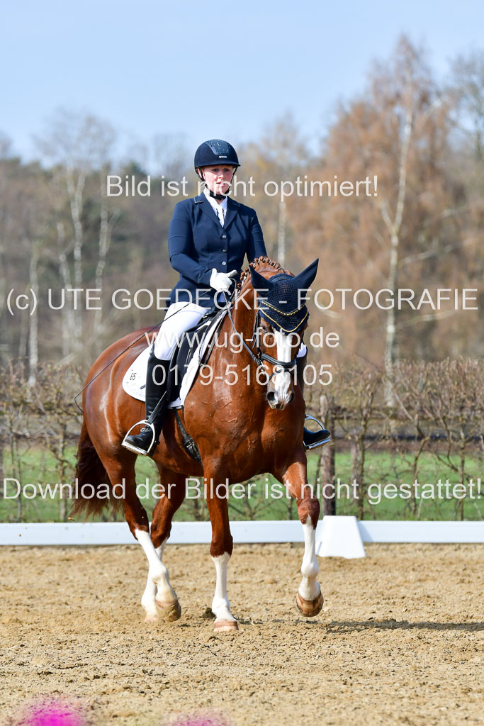 Reitsportzentrum Bremervörde | 10421 Dressur L Tr_357 
