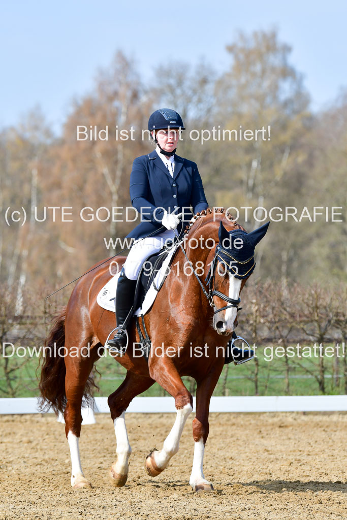 Reitsportzentrum Bremervörde | 10421 Dressur L Tr_358 
