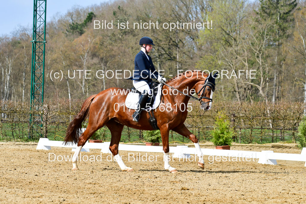 Reitsportzentrum Bremervörde | 10421 Dressur L Tr_359 