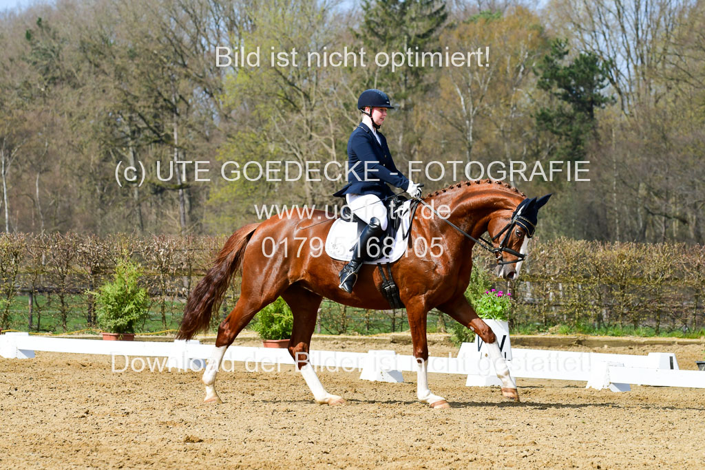 Reitsportzentrum Bremervörde | 10421 Dressur L Tr_360