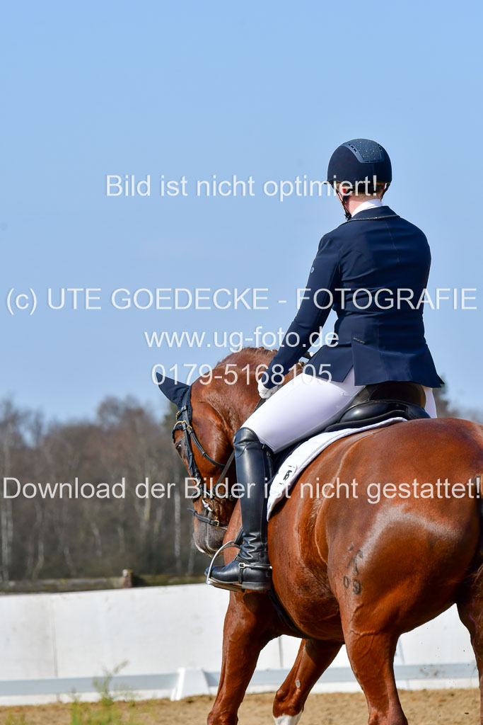 Reitsportzentrum Bremervörde | 10421 Dressur L Tr_361