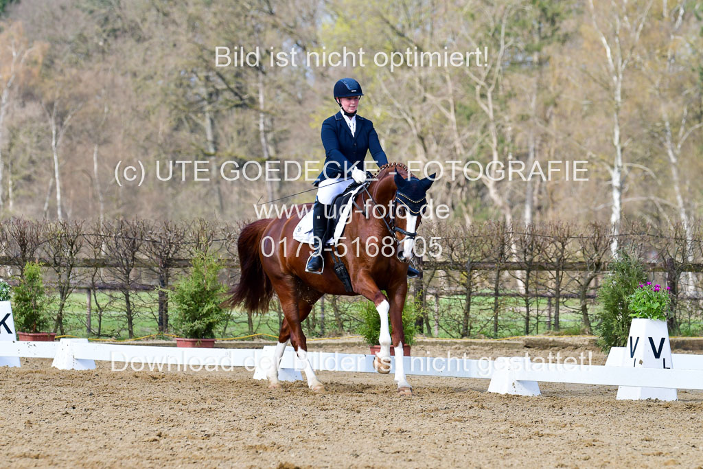 Reitsportzentrum Bremervörde | 10421 Dressur L Tr_362