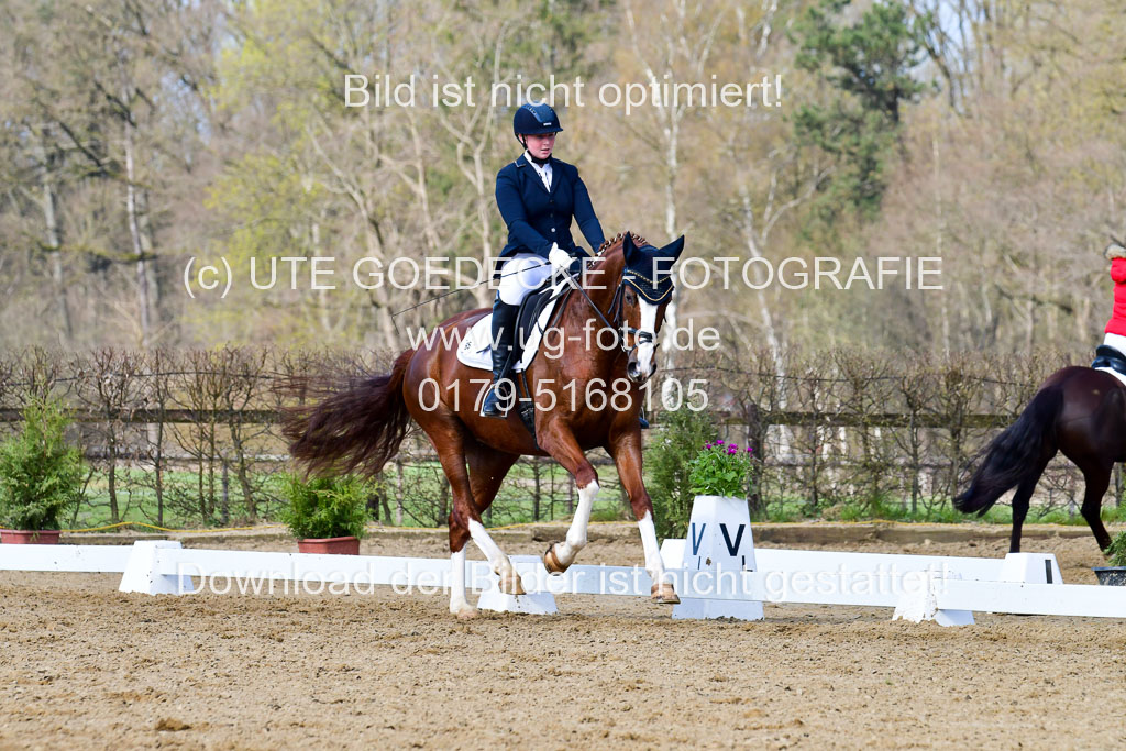 Reitsportzentrum Bremervörde | 10421 Dressur L Tr_363 