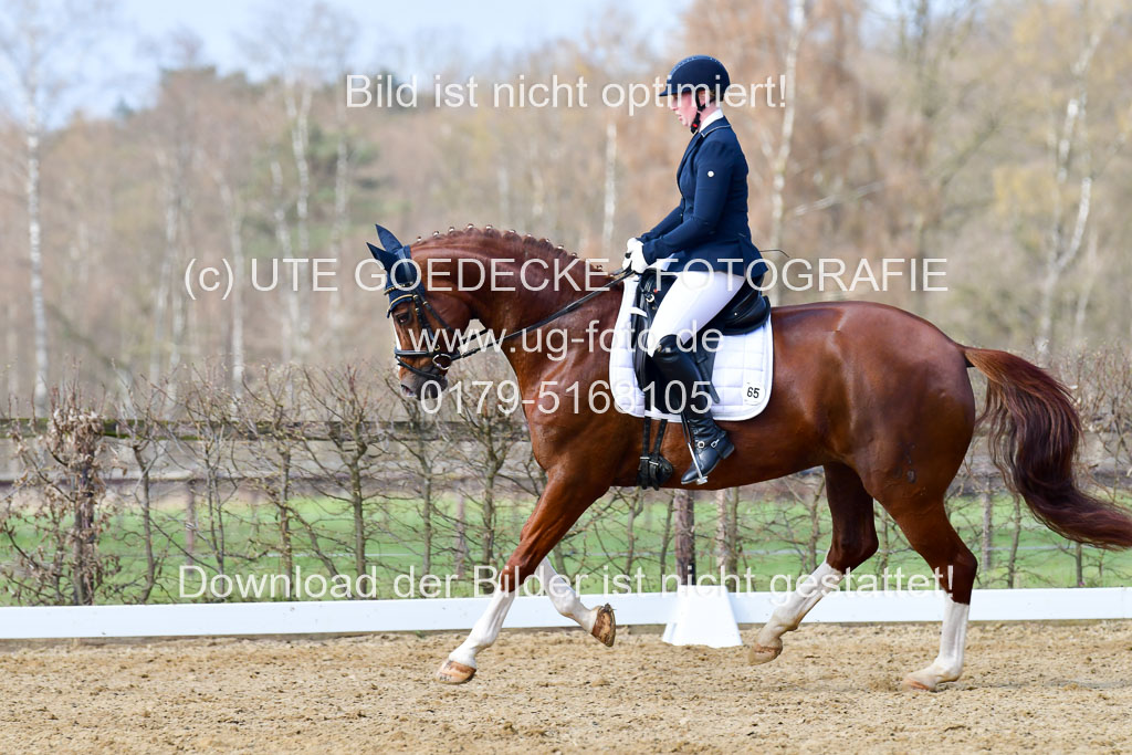 Reitsportzentrum Bremervörde | 10421 Dressur L Tr_365