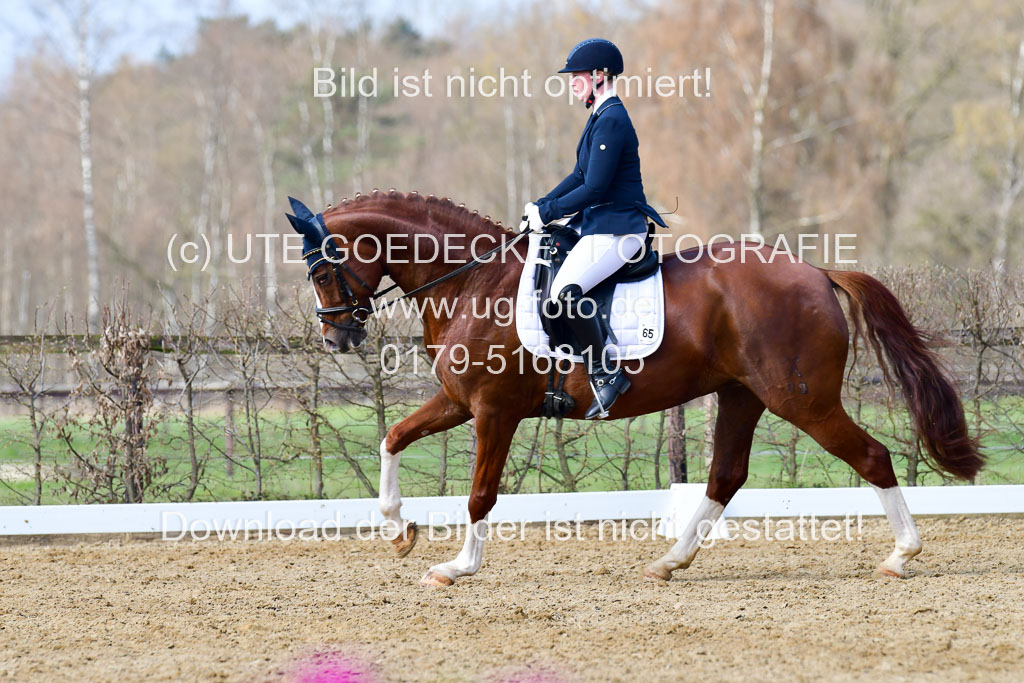 Reitsportzentrum Bremervörde | 10421 Dressur L Tr_366
