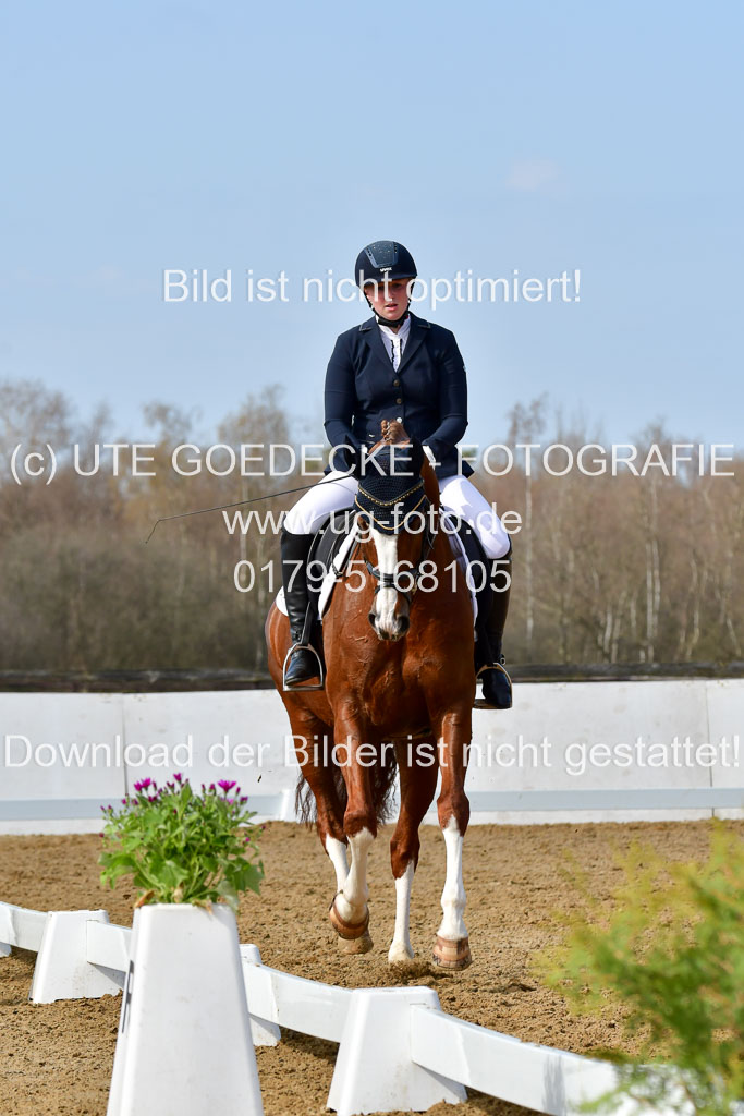 Reitsportzentrum Bremervörde | 10421 Dressur L Tr_367
