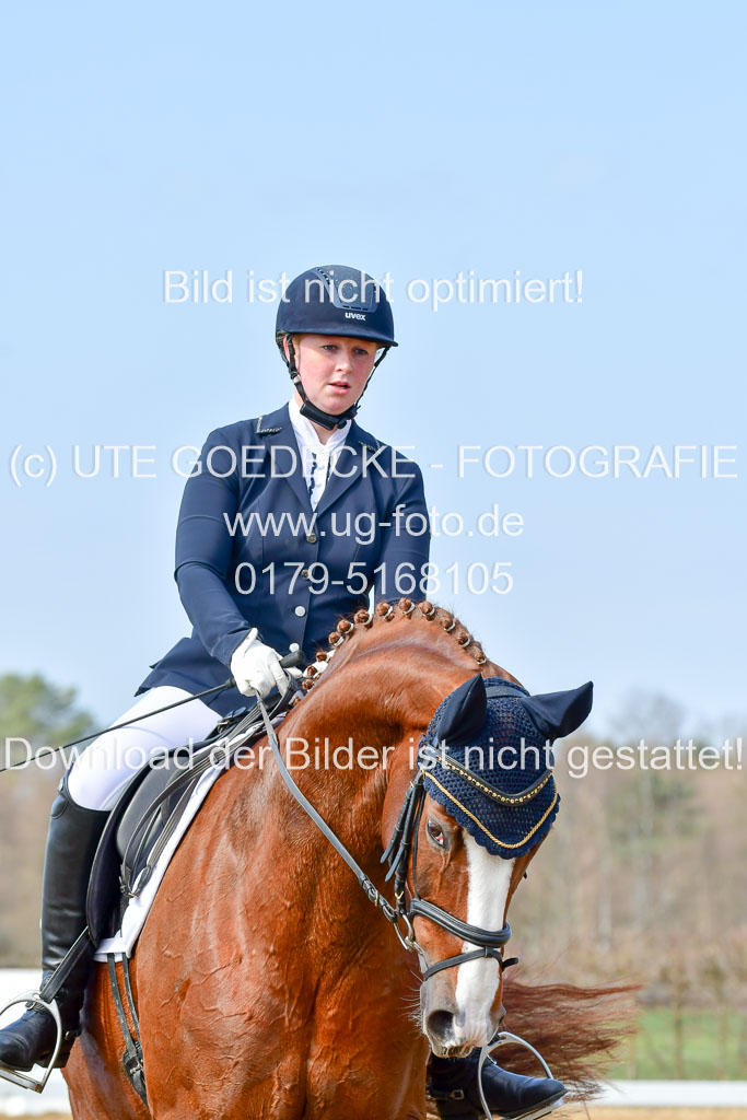 Reitsportzentrum Bremervörde | 10421 Dressur L Tr_368