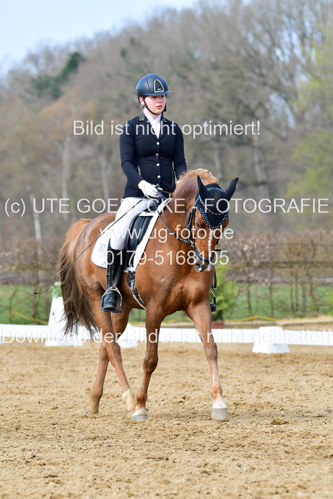 Reitsportzentrum Bremervörde | 10421 Dressur L Tr_371 