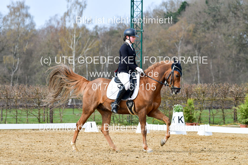 Reitsportzentrum Bremervörde | 10421 Dressur L Tr_372 