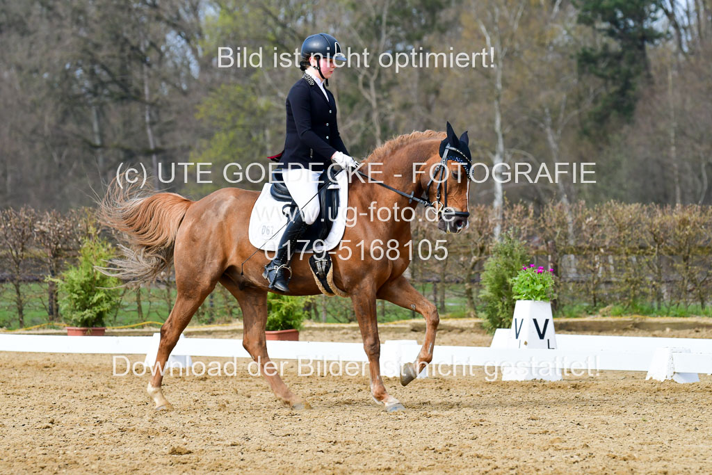 Reitsportzentrum Bremervörde | 10421 Dressur L Tr_373