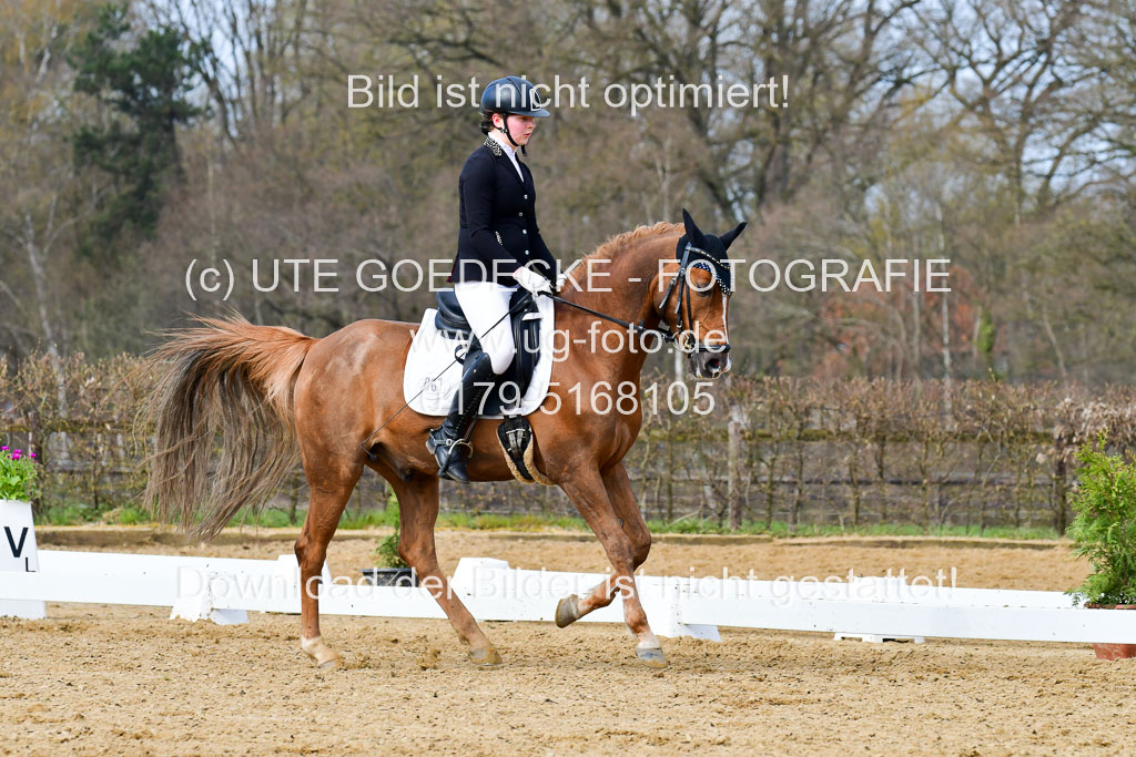 Reitsportzentrum Bremervörde | 10421 Dressur L Tr_374