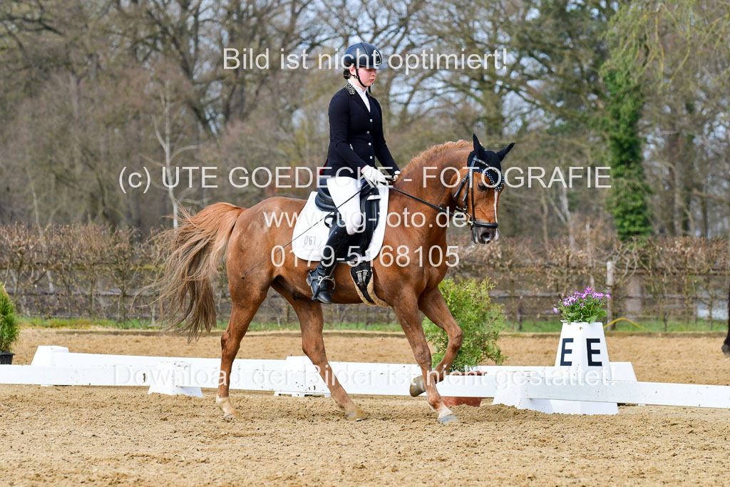 Reitsportzentrum Bremervörde | 10421 Dressur L Tr_375