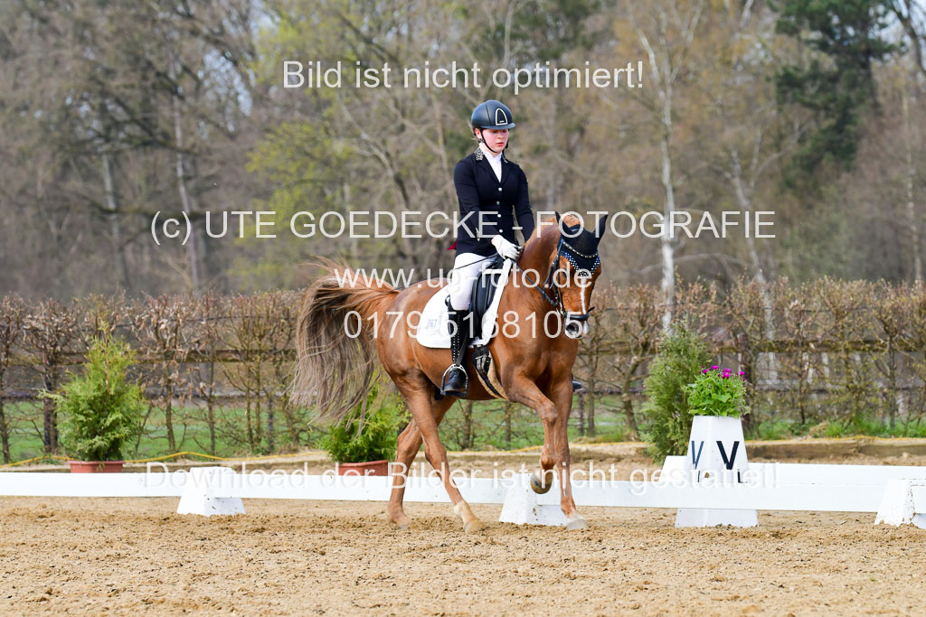Reitsportzentrum Bremervörde | 10421 Dressur L Tr_377