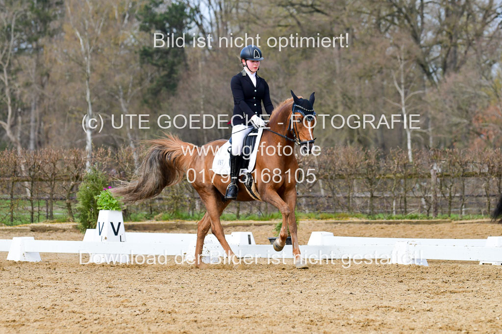 Reitsportzentrum Bremervörde | 10421 Dressur L Tr_379