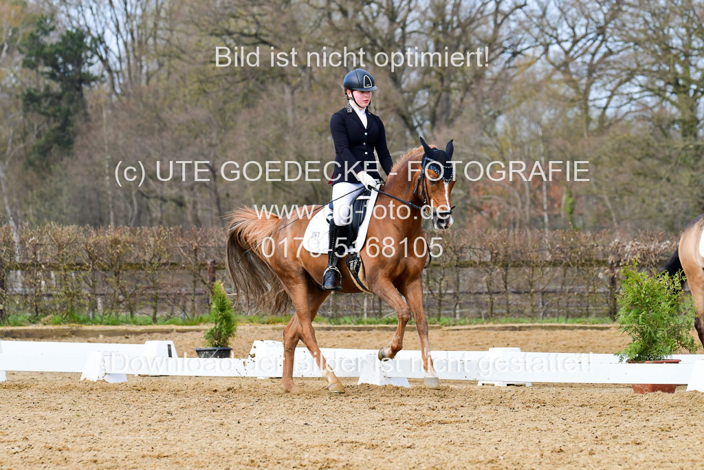 Reitsportzentrum Bremervörde | 10421 Dressur L Tr_380