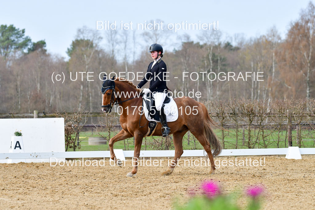 Reitsportzentrum Bremervörde | 10421 Dressur L Tr_381