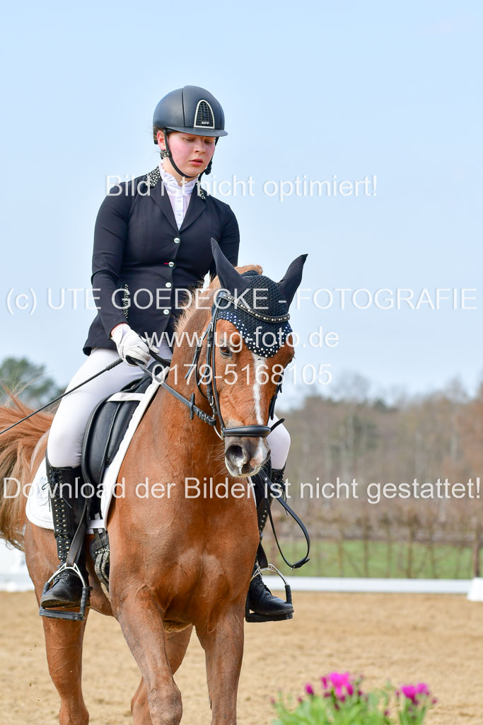 Reitsportzentrum Bremervörde | 10421 Dressur L Tr_383 