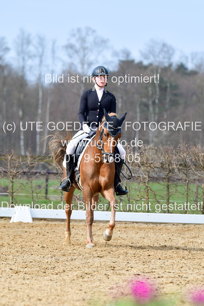 Reitsportzentrum Bremervörde | 10421 Dressur L Tr_384