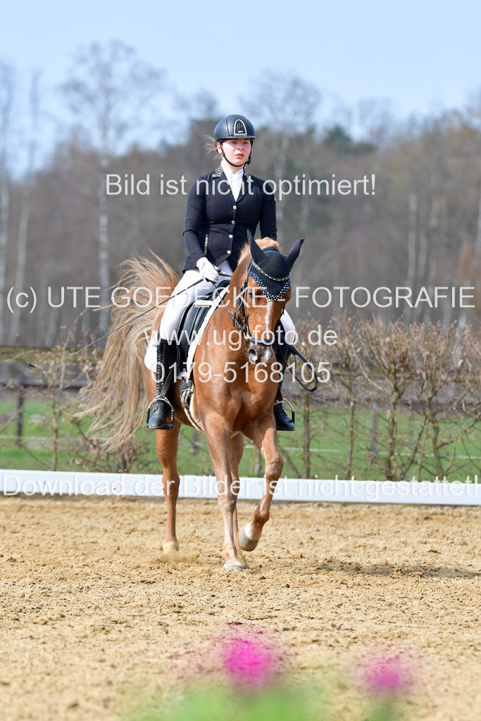 Reitsportzentrum Bremervörde | 10421 Dressur L Tr_385