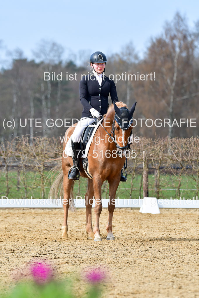 Reitsportzentrum Bremervörde | 10421 Dressur L Tr_386 