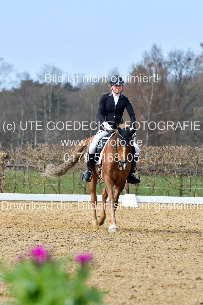 Reitsportzentrum Bremervörde | 10421 Dressur L Tr_387