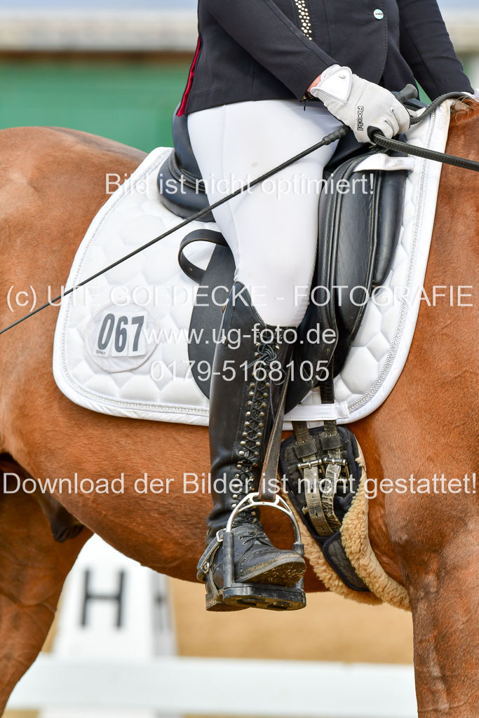 Reitsportzentrum Bremervörde | 10421 Dressur L Tr_388
