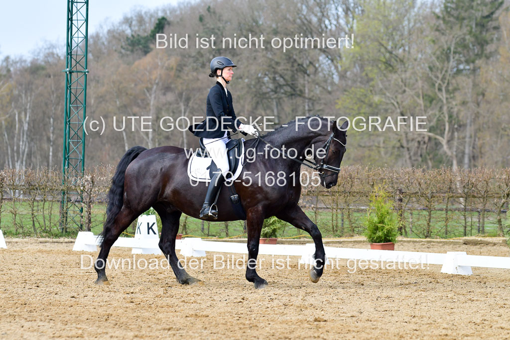 Reitsportzentrum Bremervörde | 10421 Dressur L Tr_391