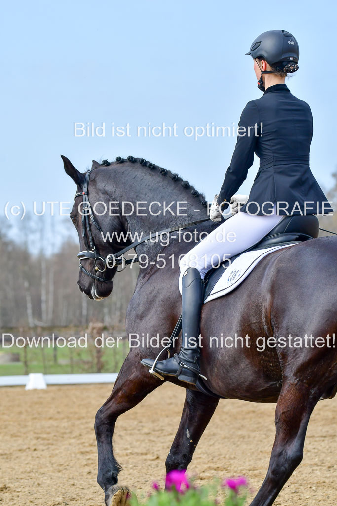 Reitsportzentrum Bremervörde | 10421 Dressur L Tr_392 