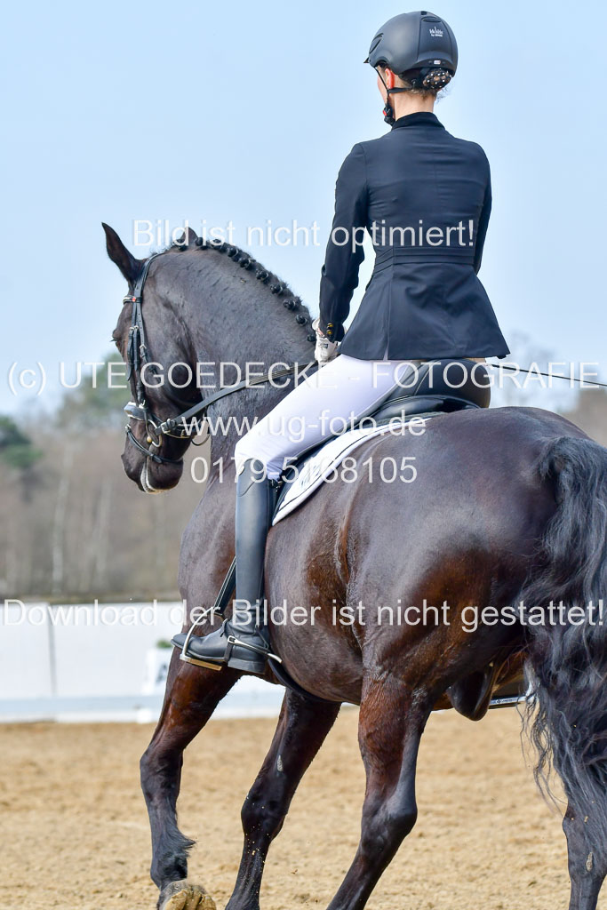 Reitsportzentrum Bremervörde | 10421 Dressur L Tr_393