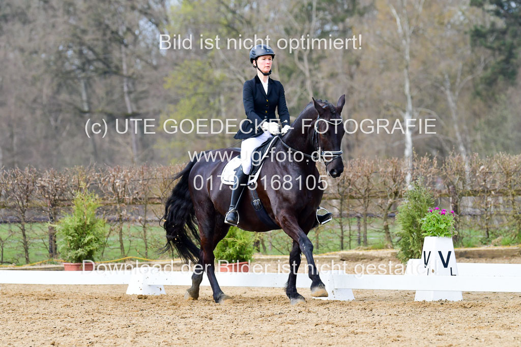 Reitsportzentrum Bremervörde | 10421 Dressur L Tr_395