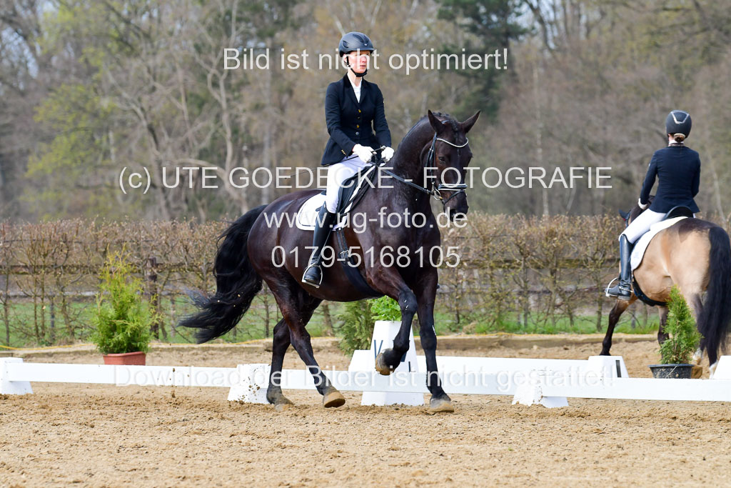 Reitsportzentrum Bremervörde | 10421 Dressur L Tr_396