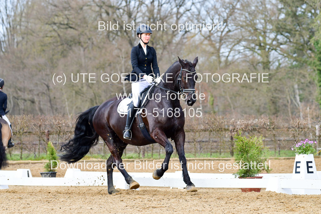 Reitsportzentrum Bremervörde | 10421 Dressur L Tr_397