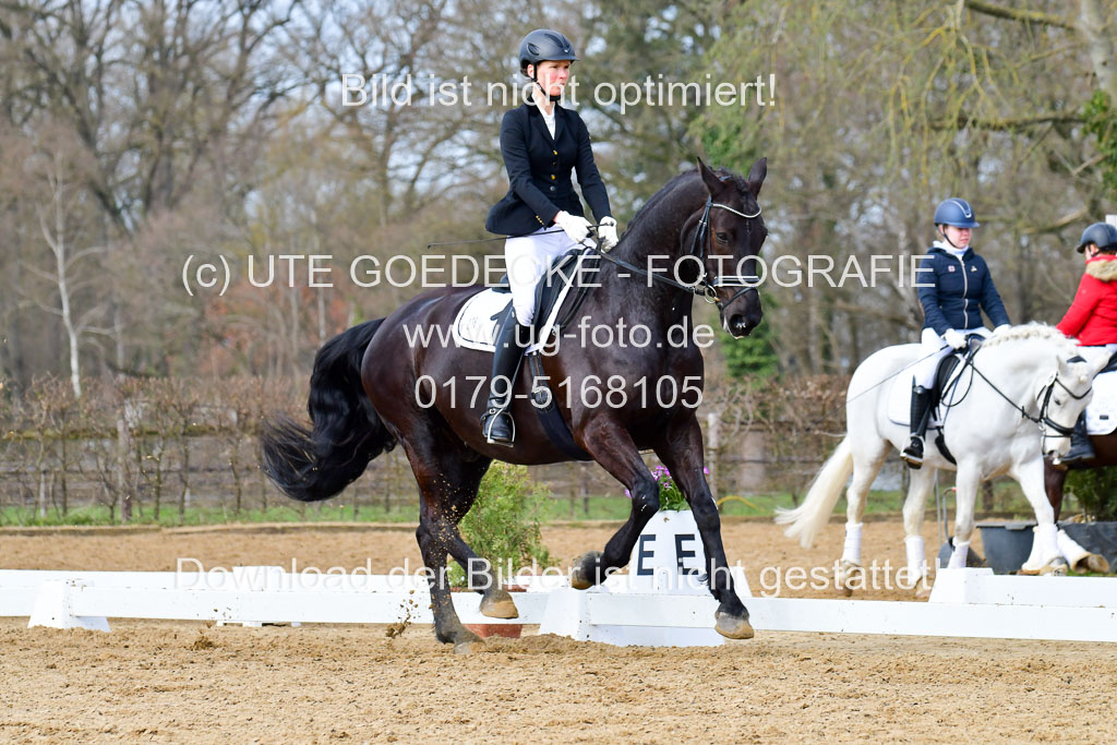 Reitsportzentrum Bremervörde | 10421 Dressur L Tr_398