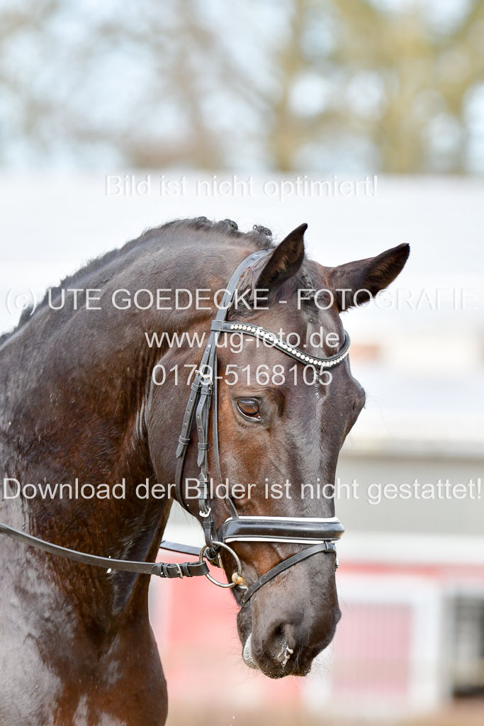 Reitsportzentrum Bremervörde | 10421 Dressur L Tr_410