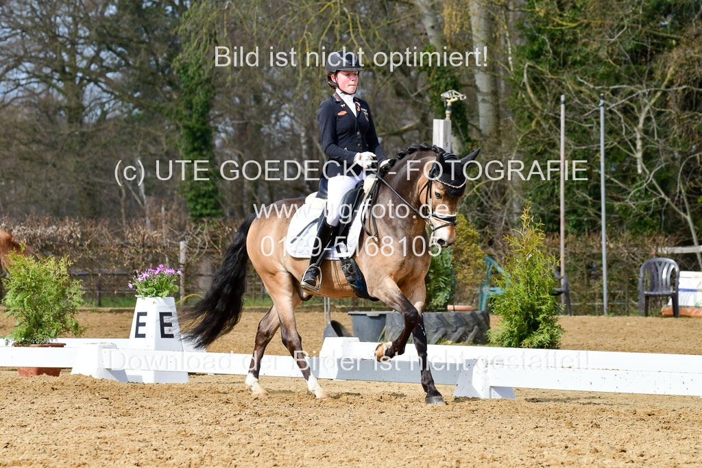Reitsportzentrum Bremervörde | 10421 Dressur L Tr_413